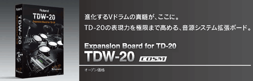 TDW-20