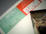 ドラマー・阿部薫さんの……写真展!? 1 8b2b95d0264e34bd82ff2ccabe1e1da3